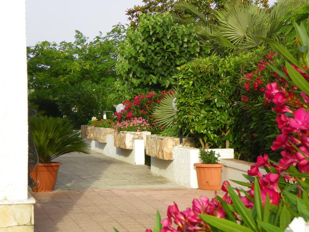 B&B Valle D'Itria Martina Franca Exteriér fotografie